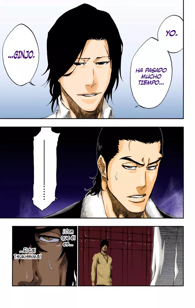Bleach (Color) capítulo 444, página 16