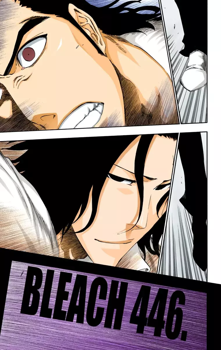 Bleach (Color) capítulo 446, página 8