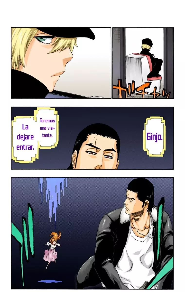 Bleach (Color) capítulo 448, página 17