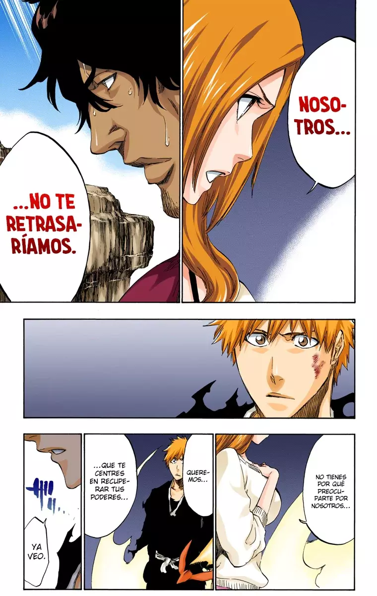 Bleach (Color) capítulo 449, página 19