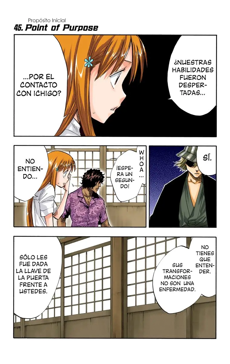 Bleach (Color) capítulo 45, página 2
