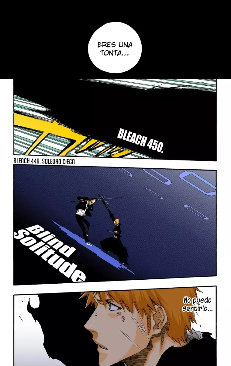 Bleach (Color) capítulo 450, página 15
