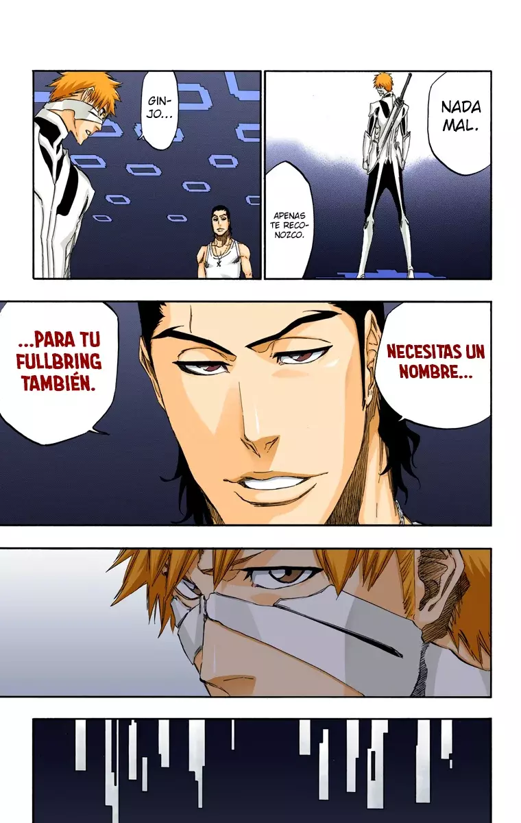 Bleach (Color) capítulo 452, página 14