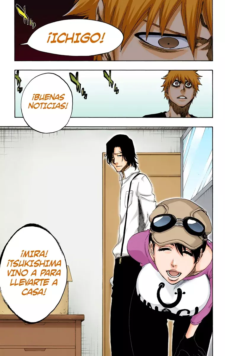 Bleach (Color) capítulo 453, página 18