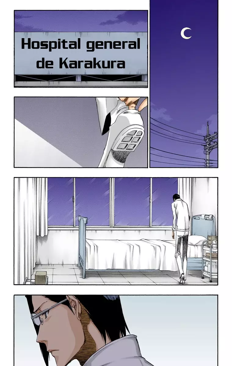 Bleach (Color) capítulo 454, página 18
