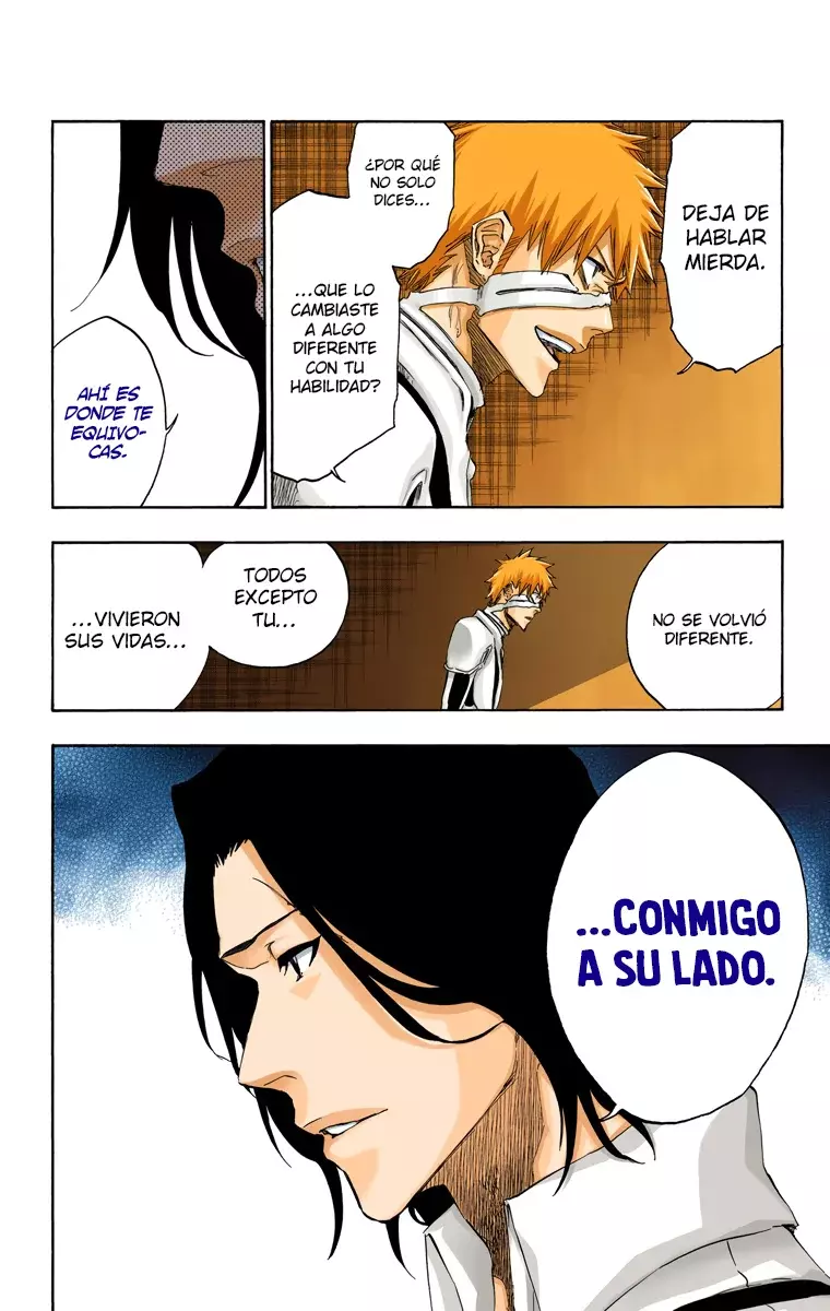 Bleach (Color) capítulo 456, página 14