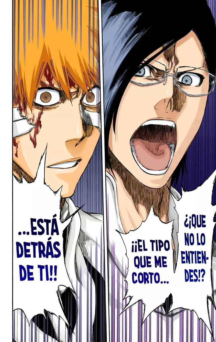 Bleach (Color) capítulo 458, página 13