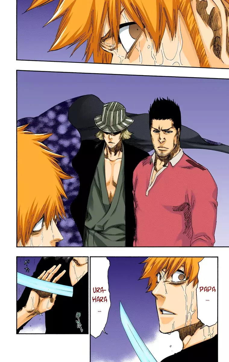 Bleach (Color) capítulo 459, página 13
