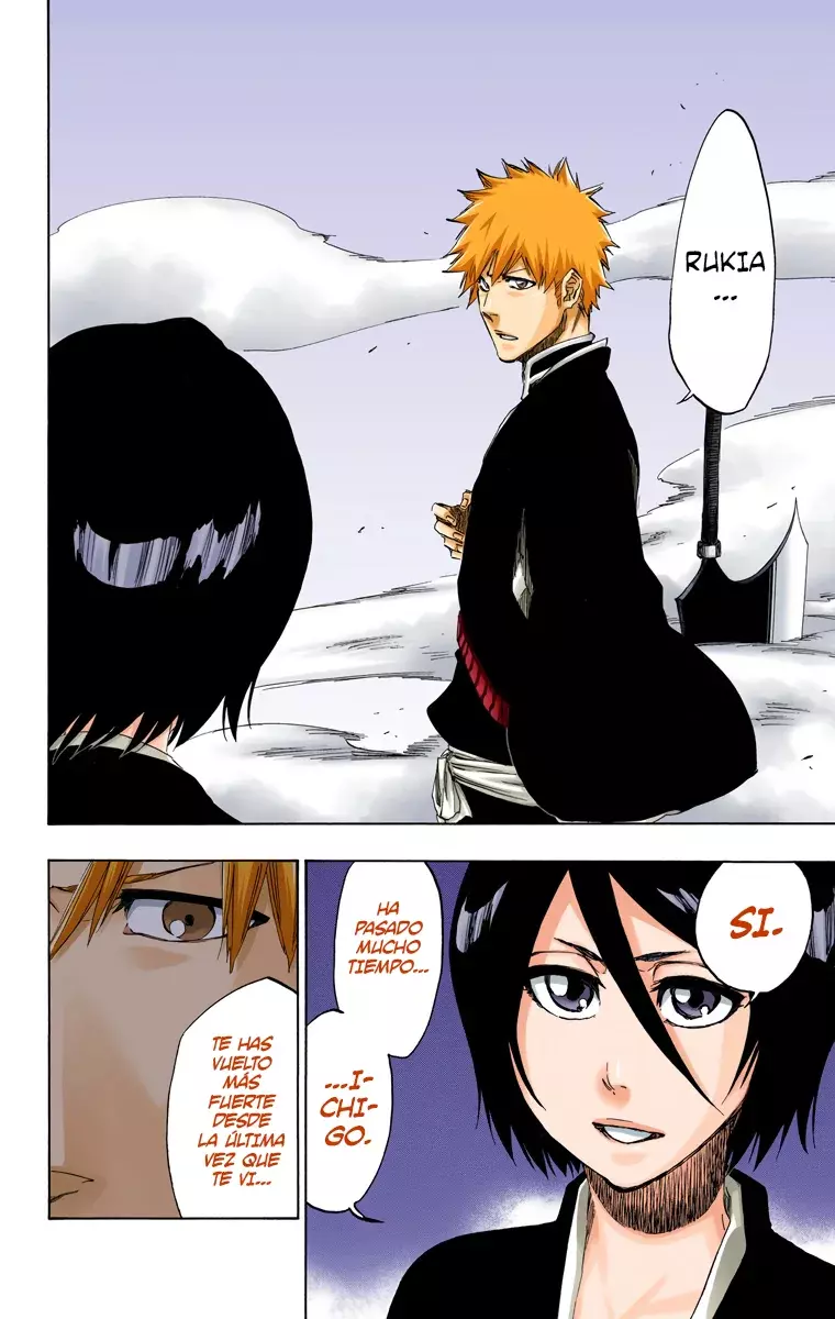 Bleach (Color) capítulo 460, página 10