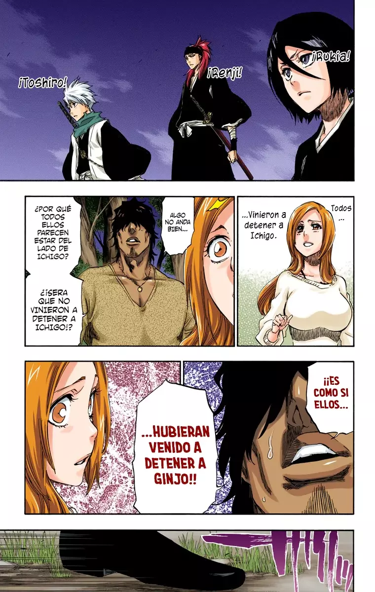 Bleach (Color) capítulo 462, página 10