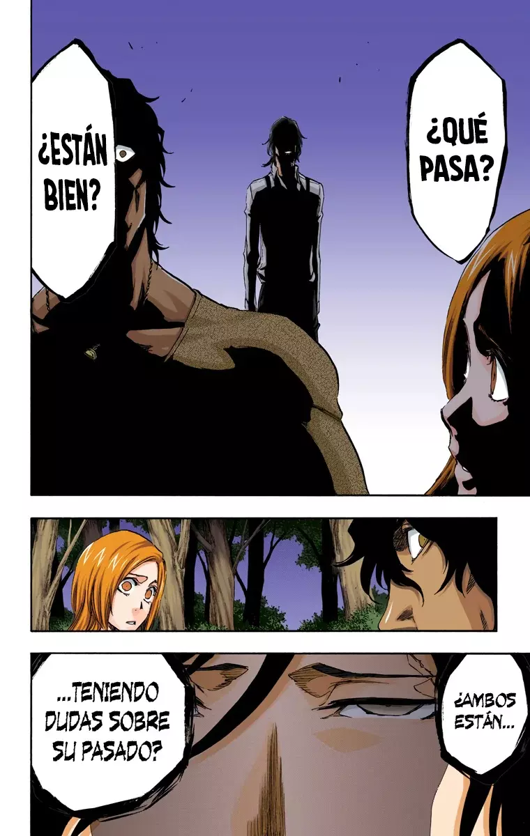 Bleach (Color) capítulo 462, página 11