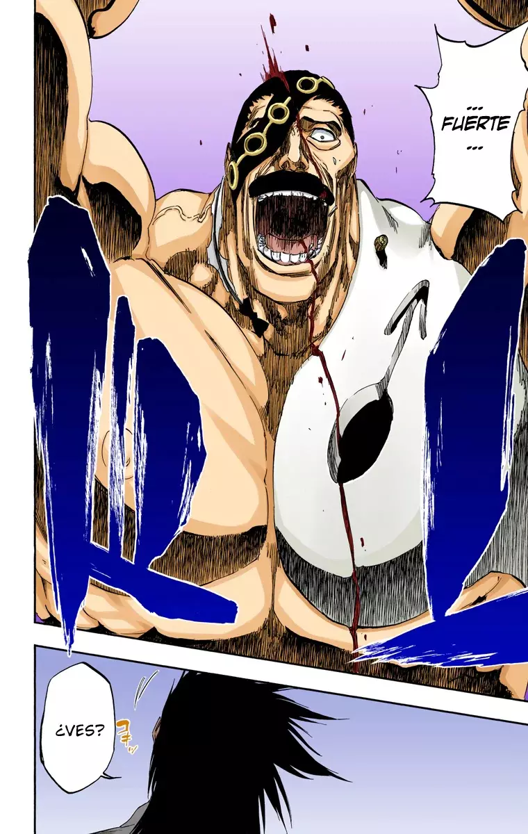 Bleach (Color) capítulo 463, página 17
