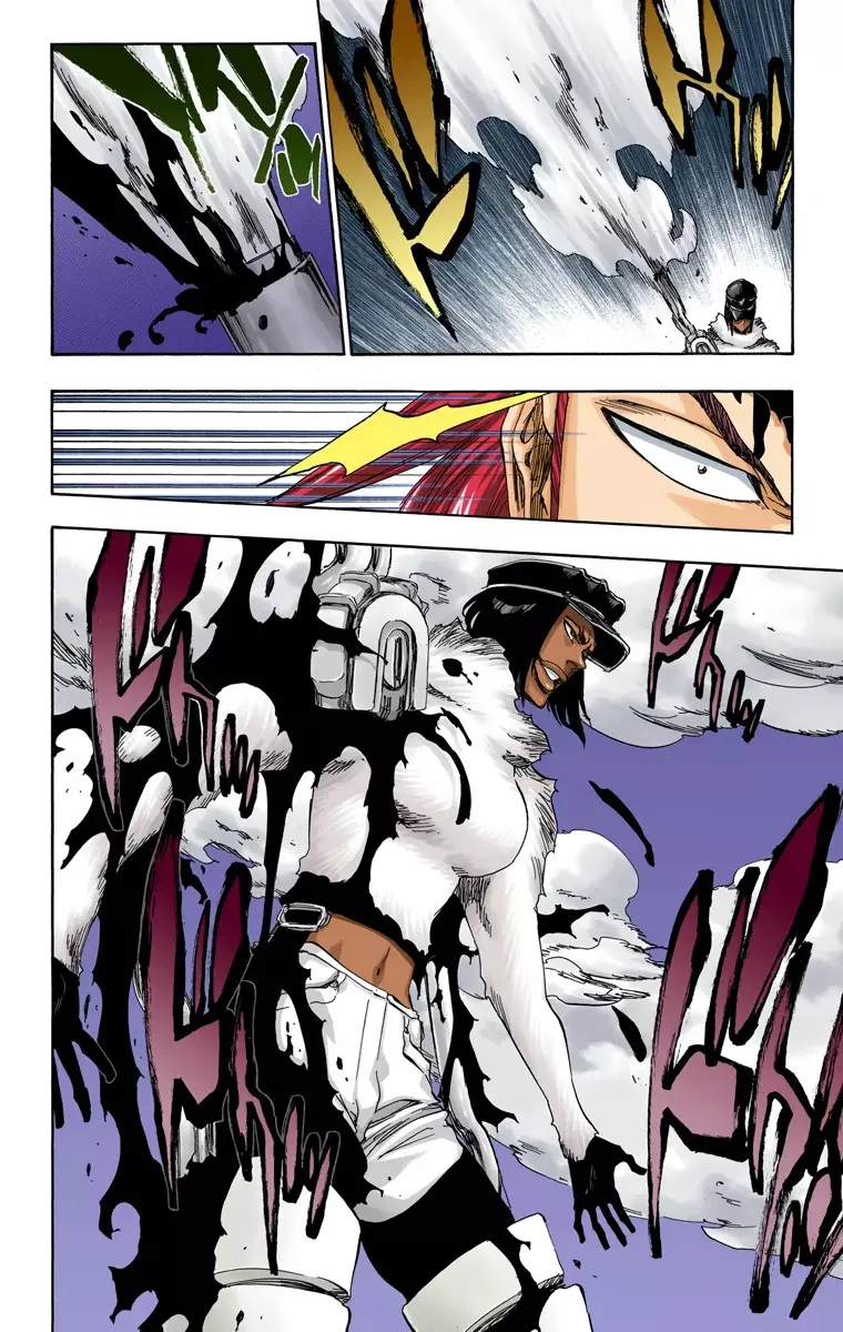 Bleach (Color) capítulo 465, página 13