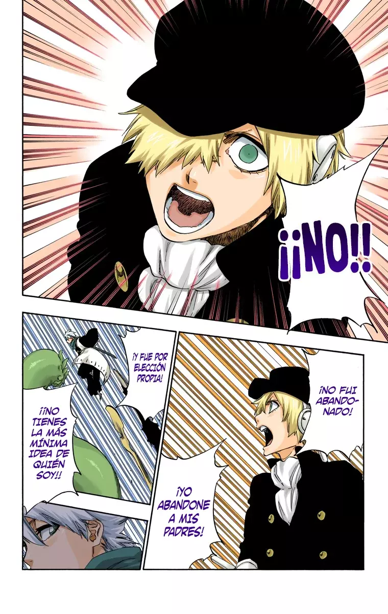 Bleach (Color) capítulo 466, página 17