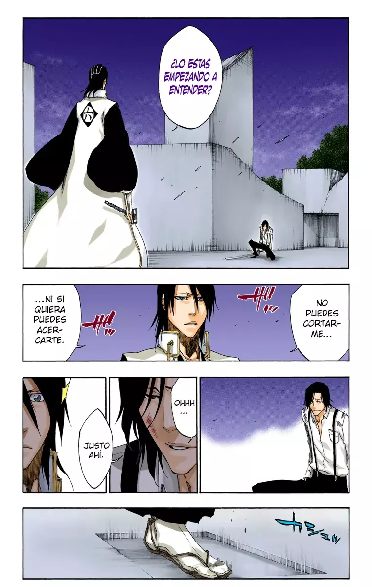 Bleach (Color) capítulo 468, página 14