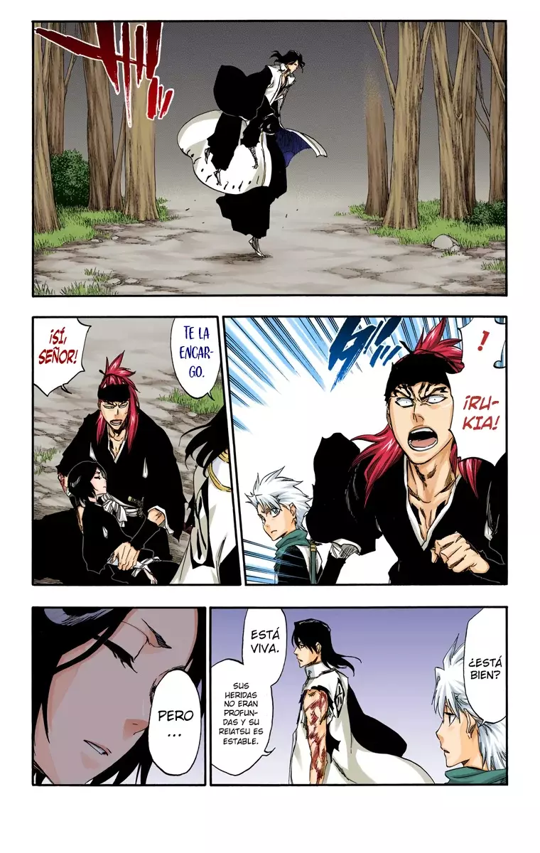 Bleach (Color) capítulo 473, página 9