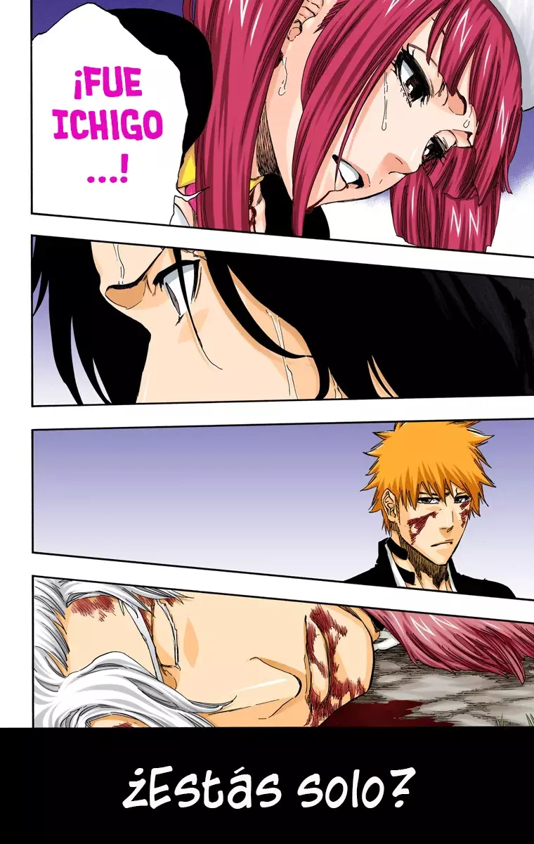 Bleach (Color) capítulo 477, página 19