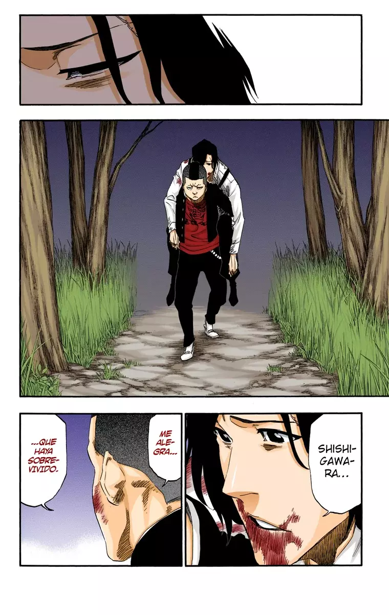 Bleach (Color) capítulo 478, página 17