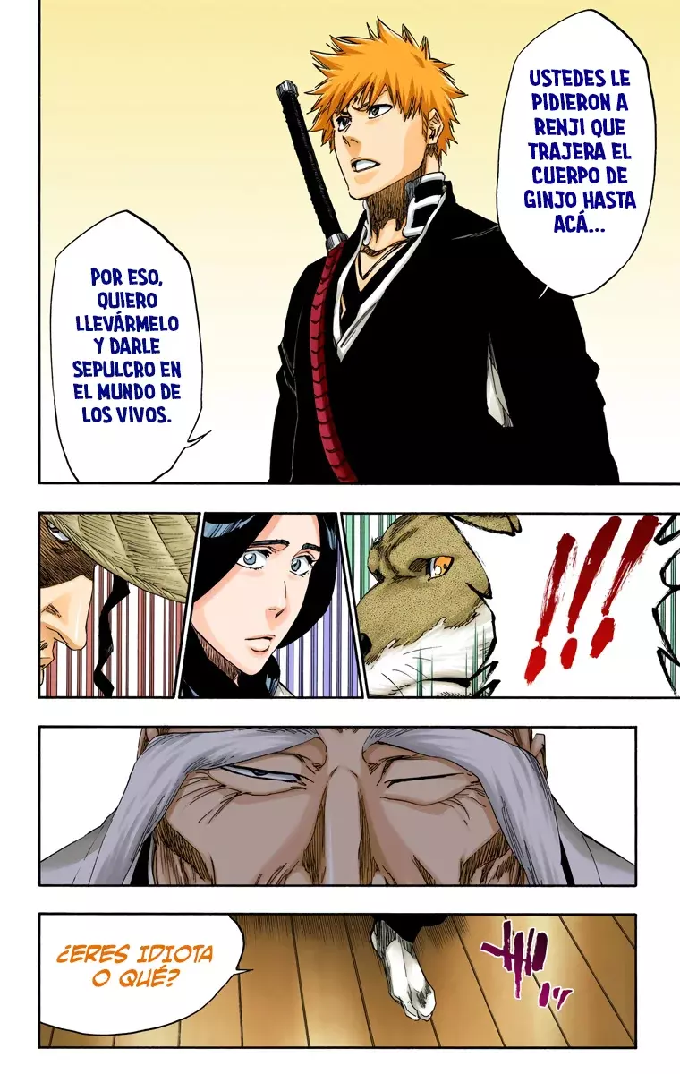 Bleach (Color) capítulo 479, página 13