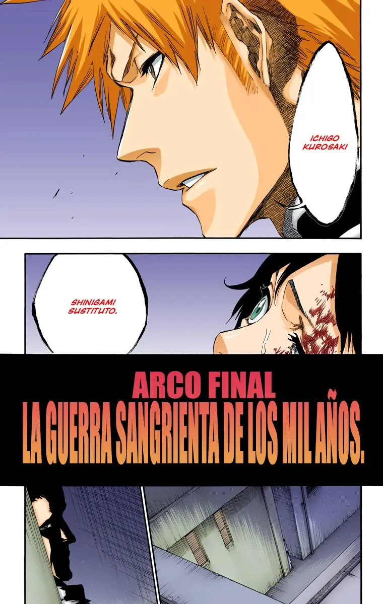 Bleach (Color) capítulo 480, página 25