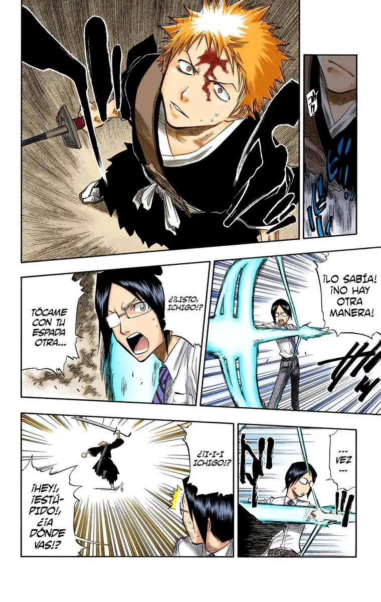 Bleach (Color) capítulo 49, página 13