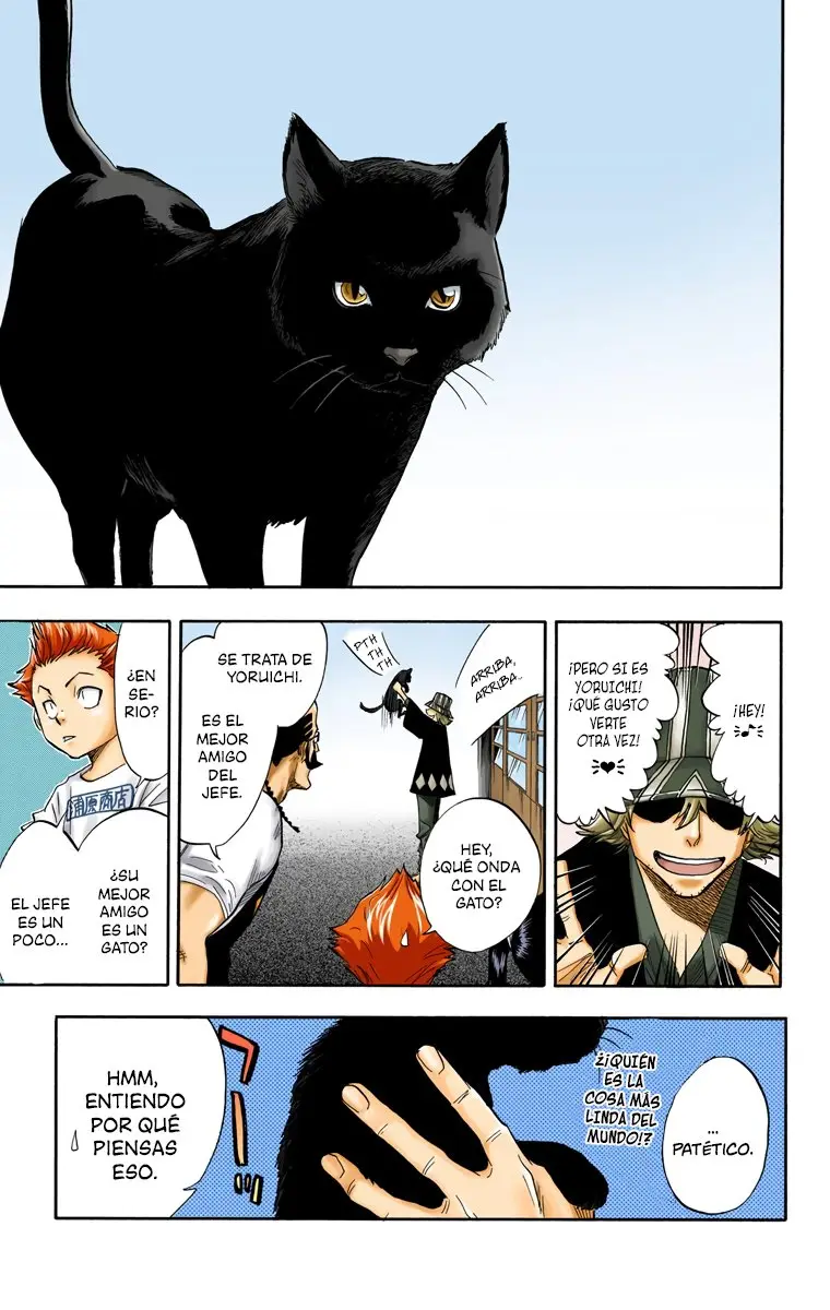Bleach (Color) capítulo 51, página 11