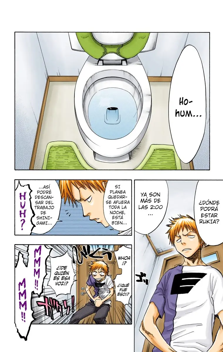 Bleach (Color) capítulo 53, página 11