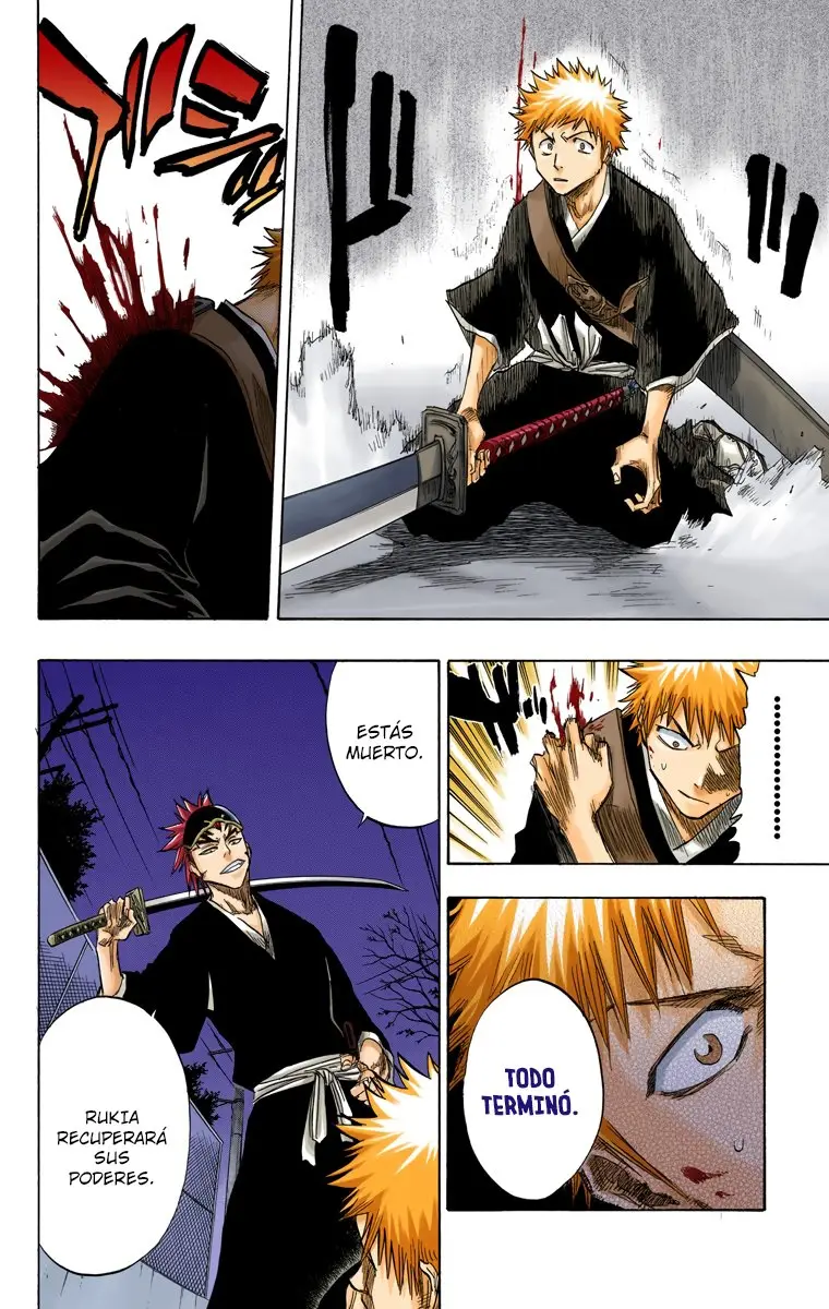 Bleach (Color) capítulo 54, página 11