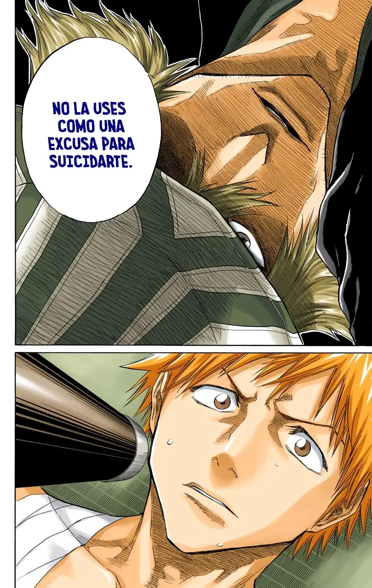 Bleach (Color) capítulo 57, página 17