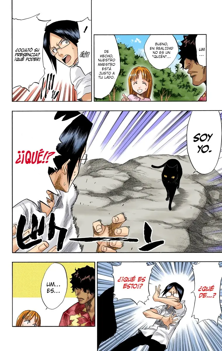Bleach (Color) capítulo 61, página 7