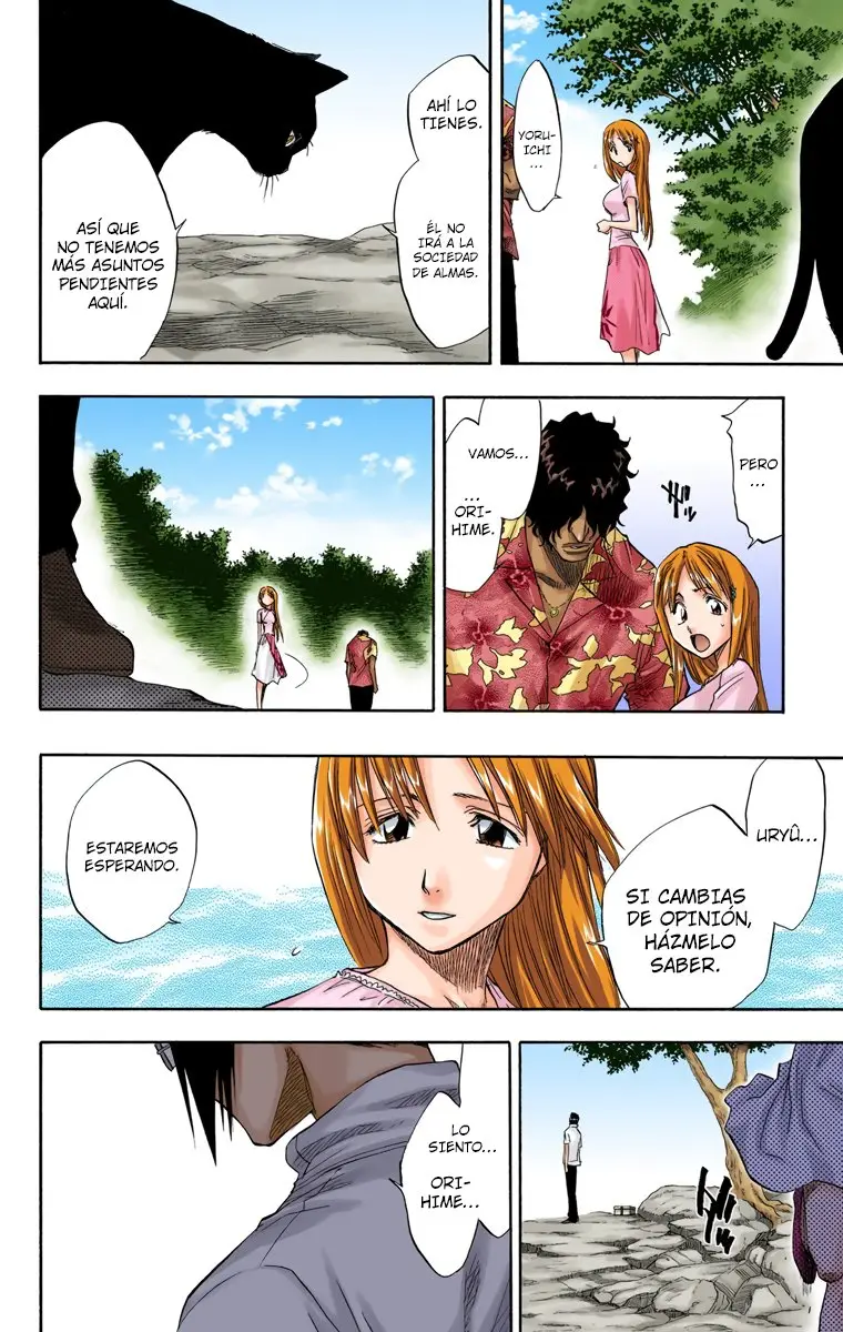 Bleach (Color) capítulo 61, página 11