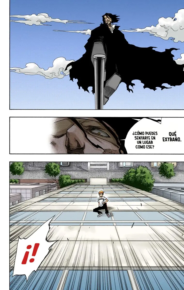 Bleach (Color) capítulo 63, página 9