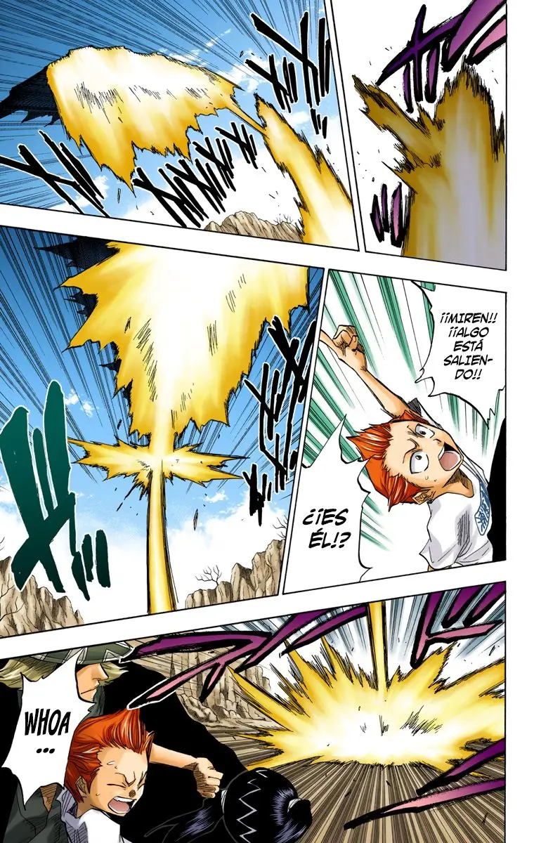 Bleach (Color) capítulo 64, página 10