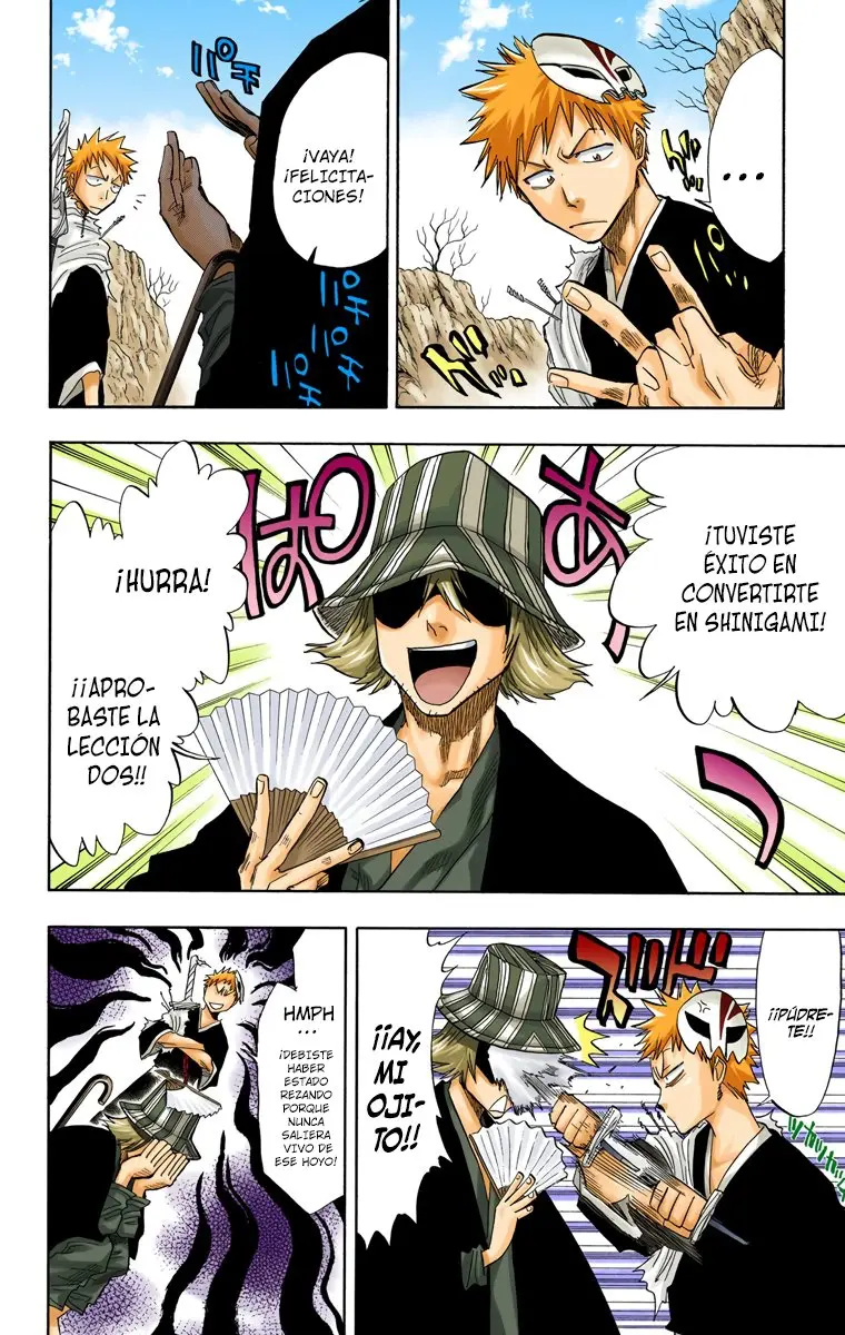 Bleach (Color) capítulo 64, página 18
