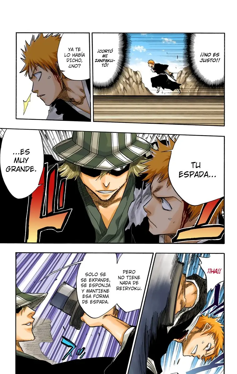 Bleach (Color) capítulo 66, página 10
