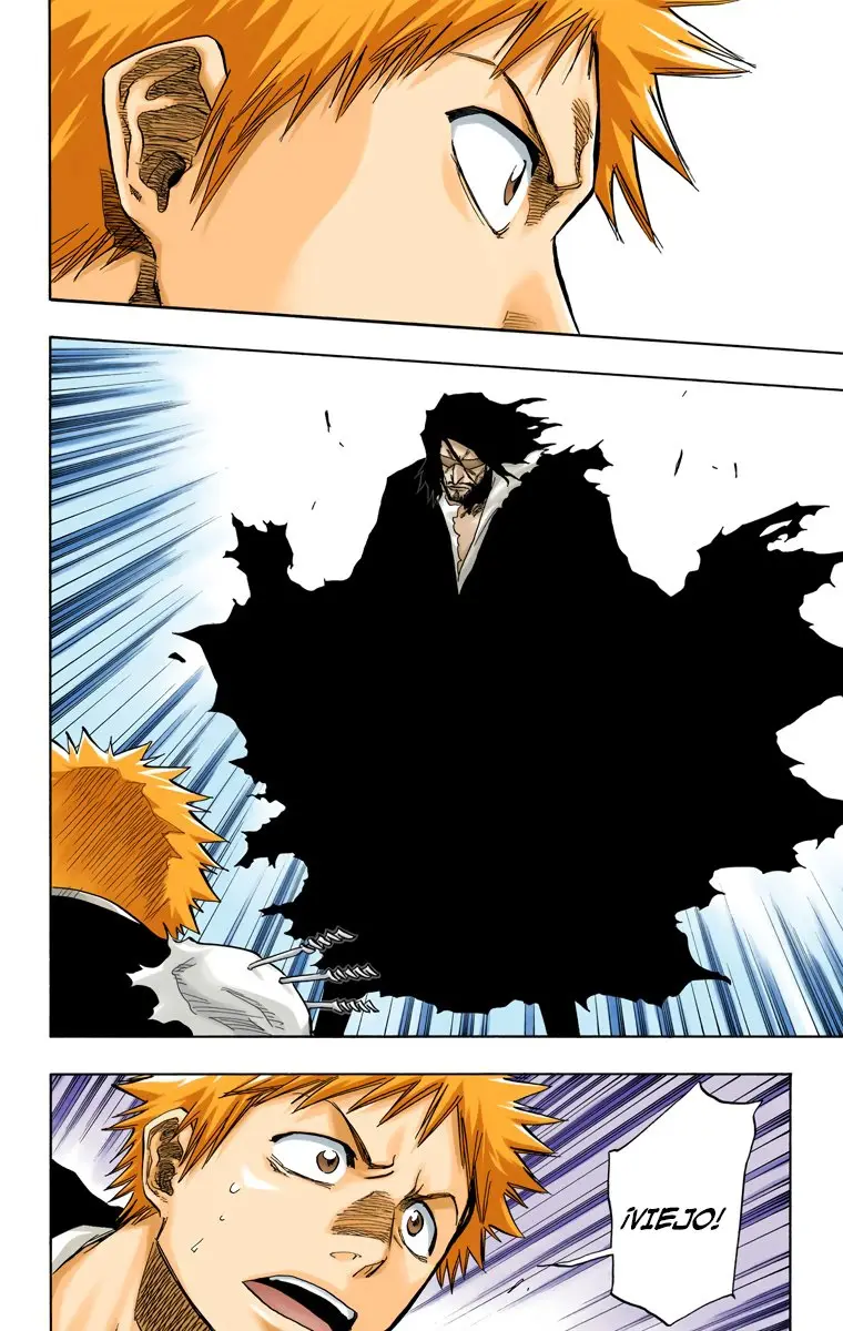 Bleach (Color) capítulo 66, página 17