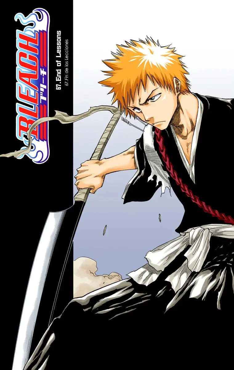 Bleach (Color) capítulo 67, página 10