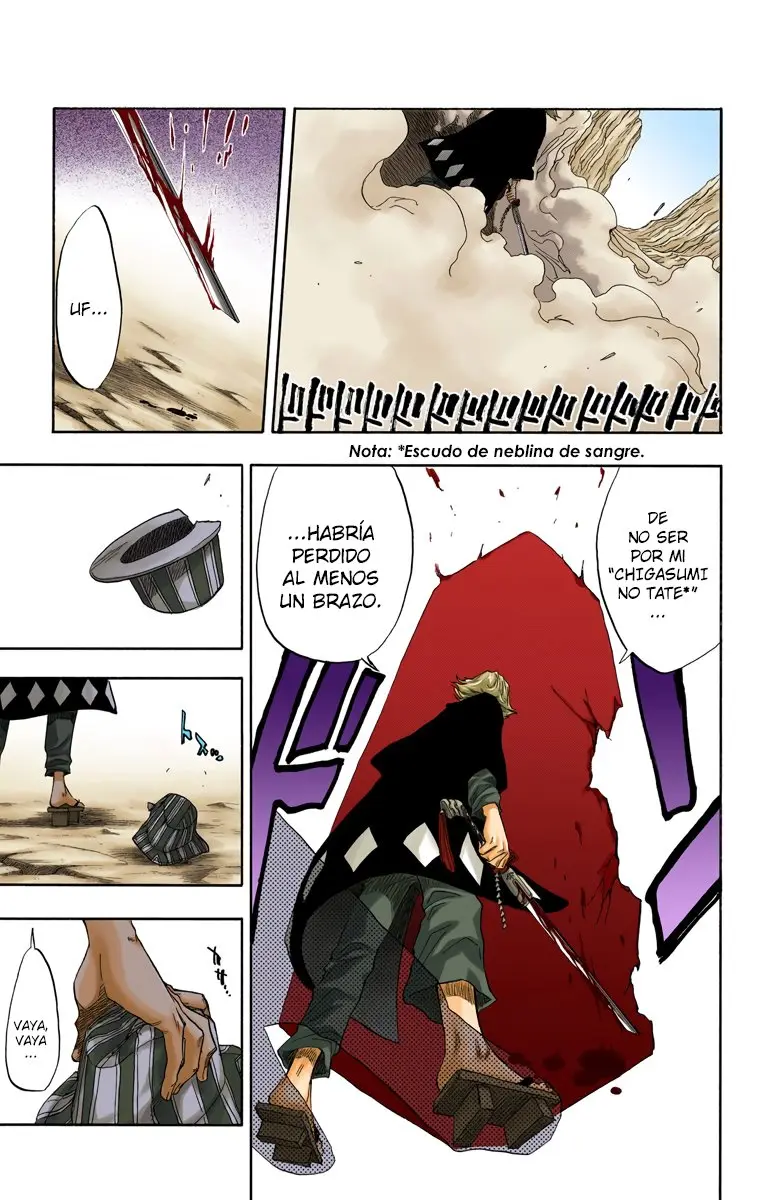 Bleach (Color) capítulo 67, página 15