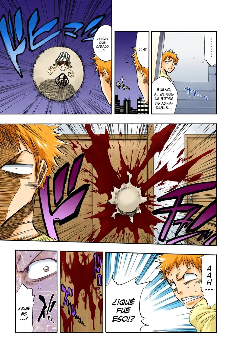 Bleach (Color) capítulo 69, página 10