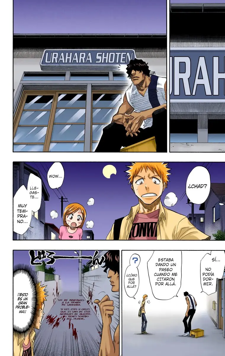 Bleach (Color) capítulo 69, página 17