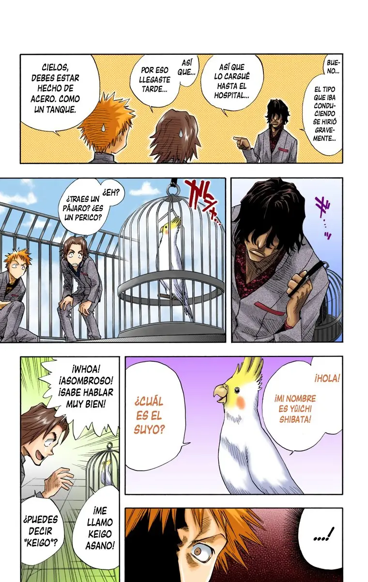 Bleach (Color) capítulo 7, página 13