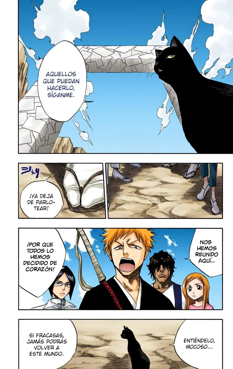 Bleach (Color) capítulo 70, página 13