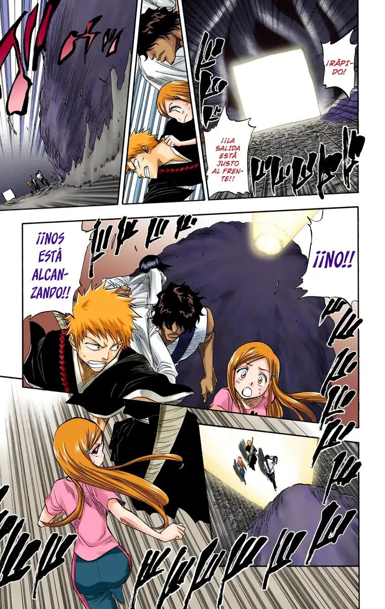 Bleach (Color) capítulo 71, página 14