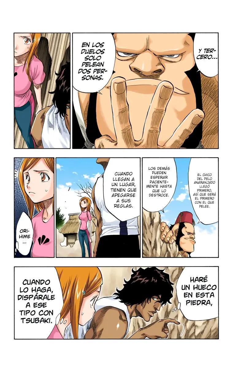 Bleach (Color) capítulo 72, página 10