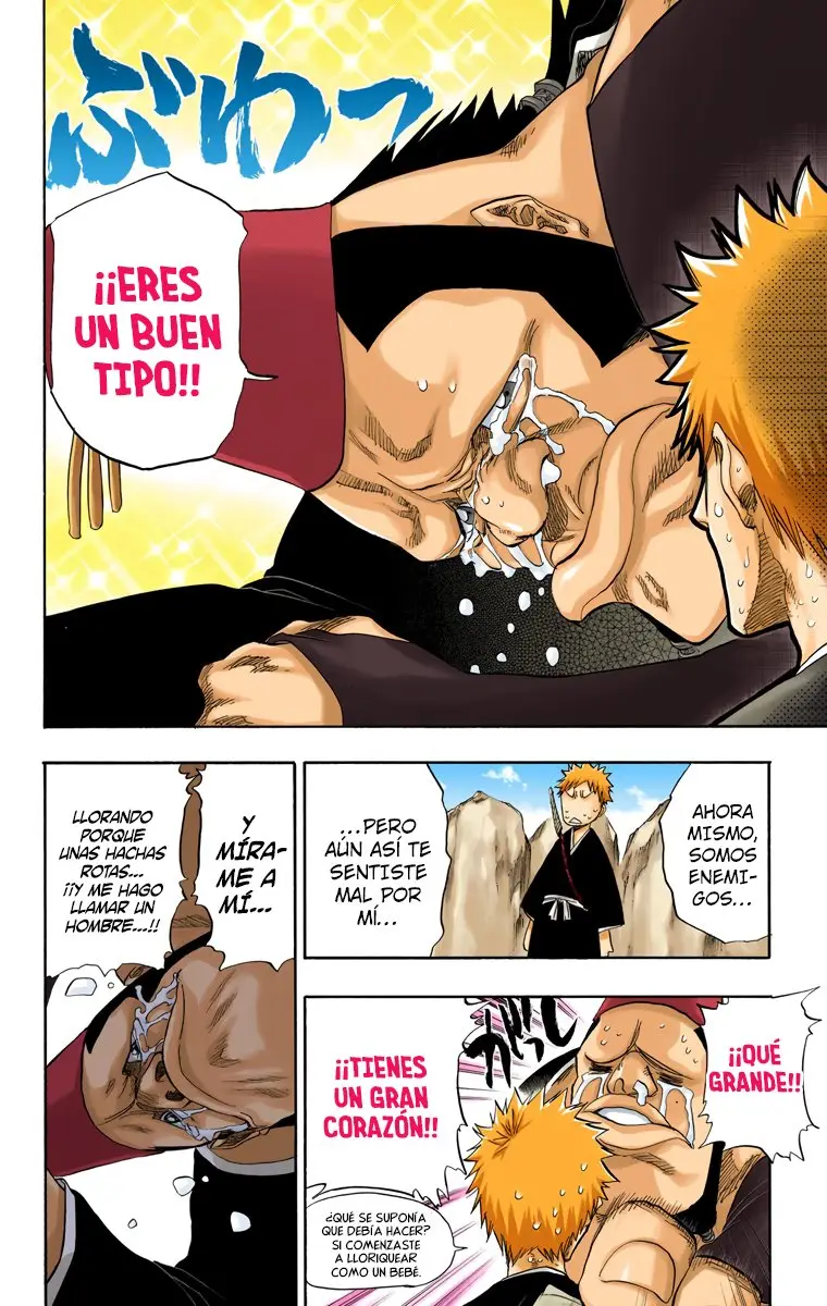 Bleach (Color) capítulo 74, página 8