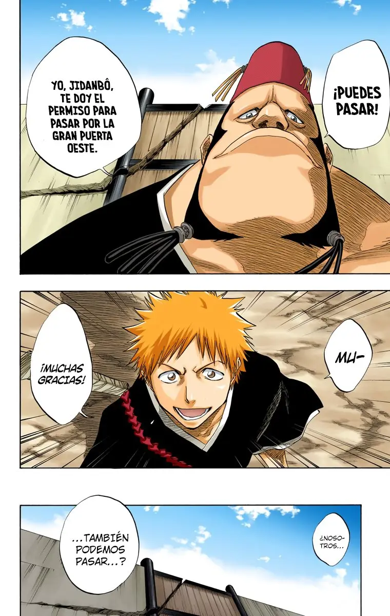 Bleach (Color) capítulo 74, página 10