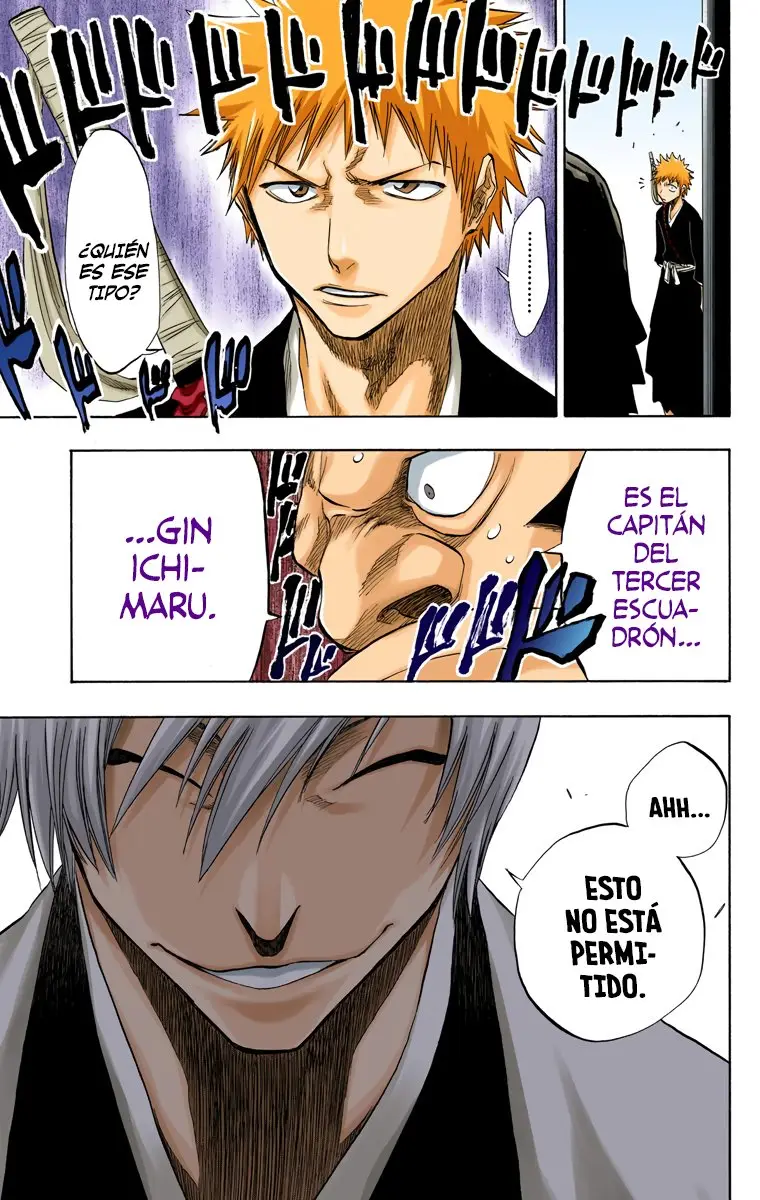 Bleach (Color) capítulo 74, página 17