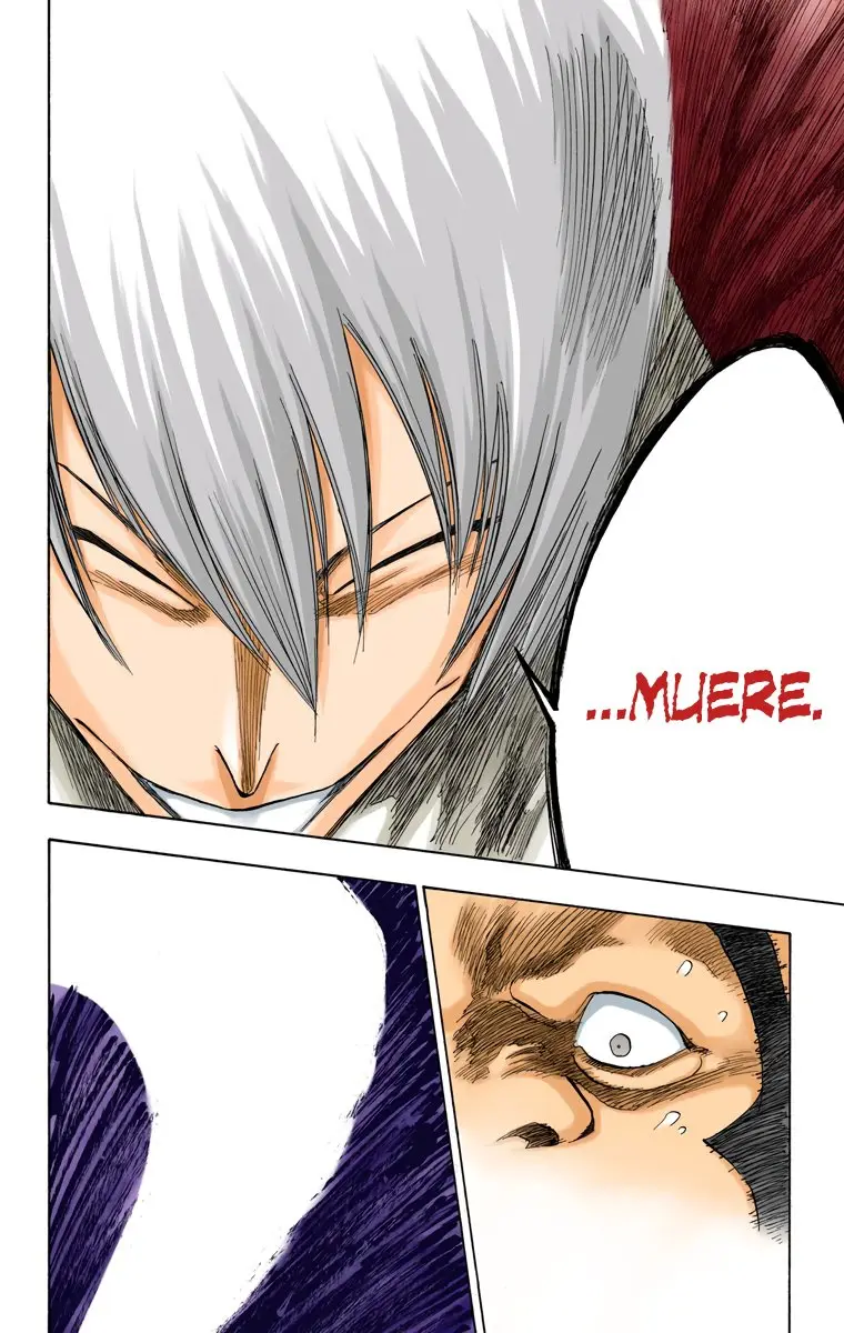 Bleach (Color) capítulo 75, página 8