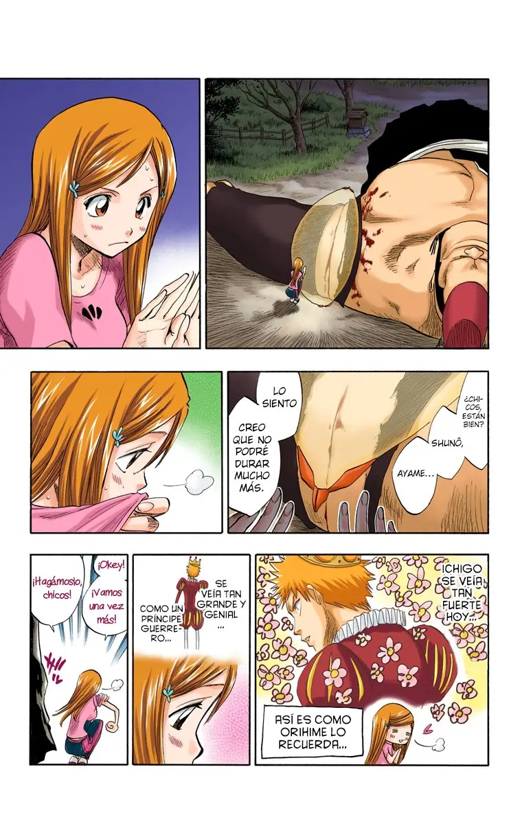 Bleach (Color) capítulo 76, página 11