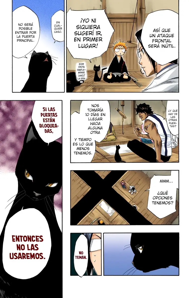 Bleach (Color) capítulo 76, página 15